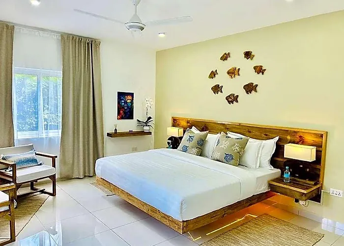 The Seaboards Seychelles Anse Boileau