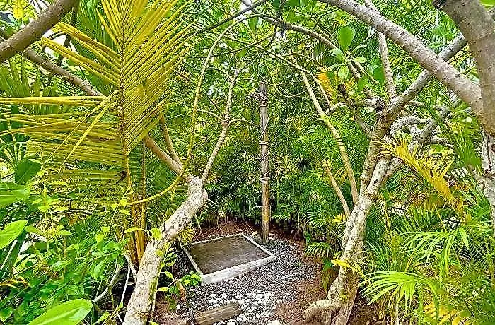 The Seaboards Seychelles Anse Boileau