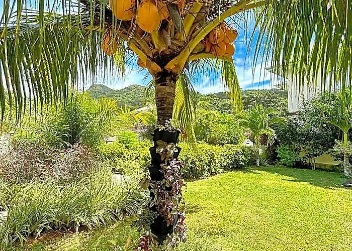 The Seaboards Seychelles Hotell Anse Boileau